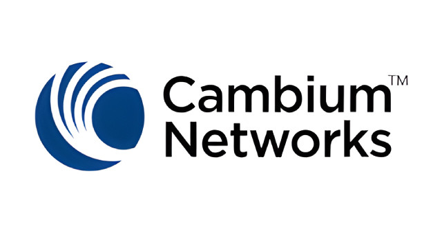 cambium